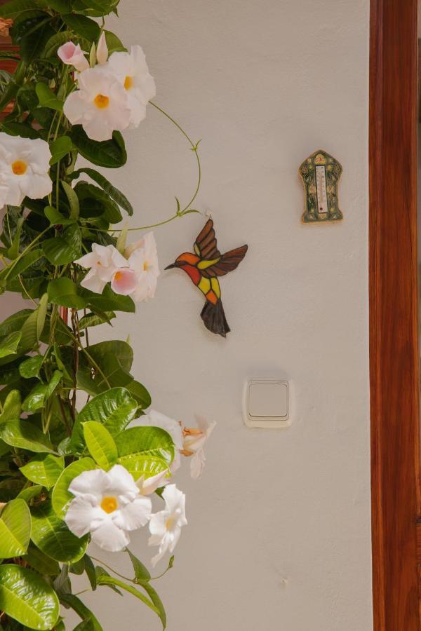 Casa Carmen Villa Haría Kültér fotó